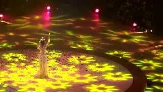 容祖兒演唱會2013 - 連續劇